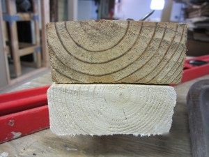 Old growth and new growth.