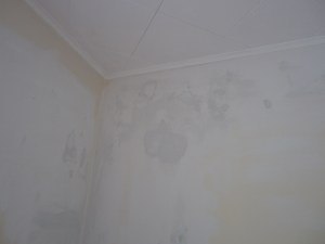 3 - Cracks in the plaster, repaired and ready for primer